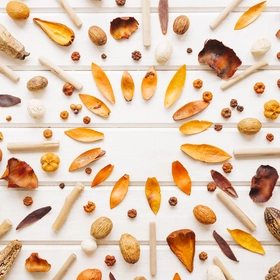 Noix-et-fruits-secs